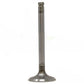 33A82 Intake Valve Fits Massey Ferguson