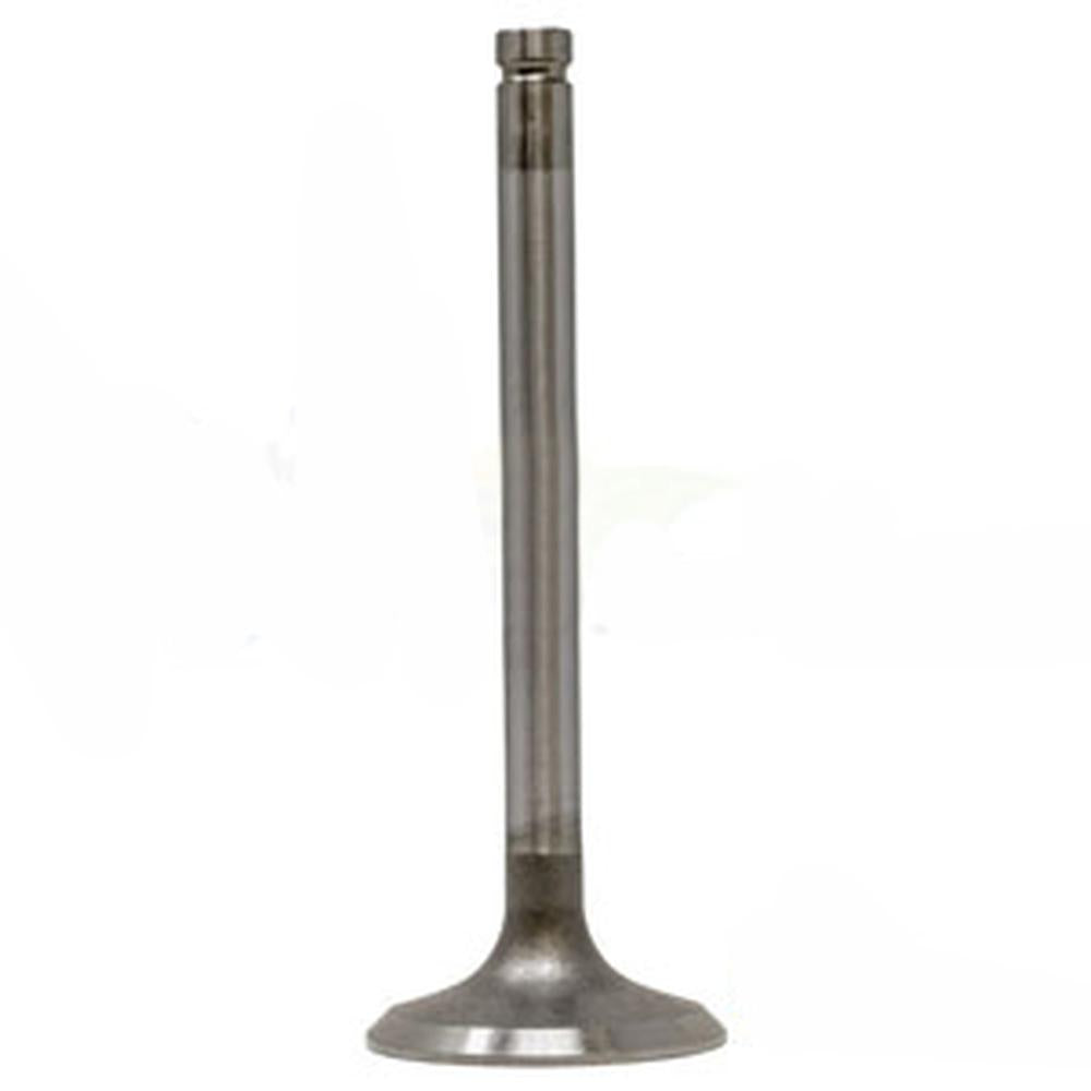 02100022 Intake Valve Fits JCB