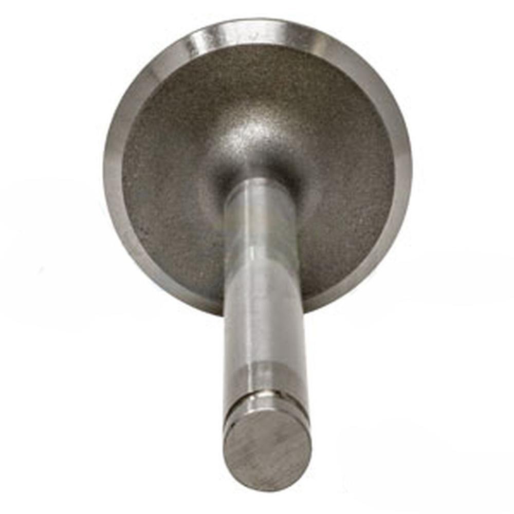 131431315 Intake Valve Fits Landini