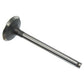 131431315 Intake Valve Fits Landini