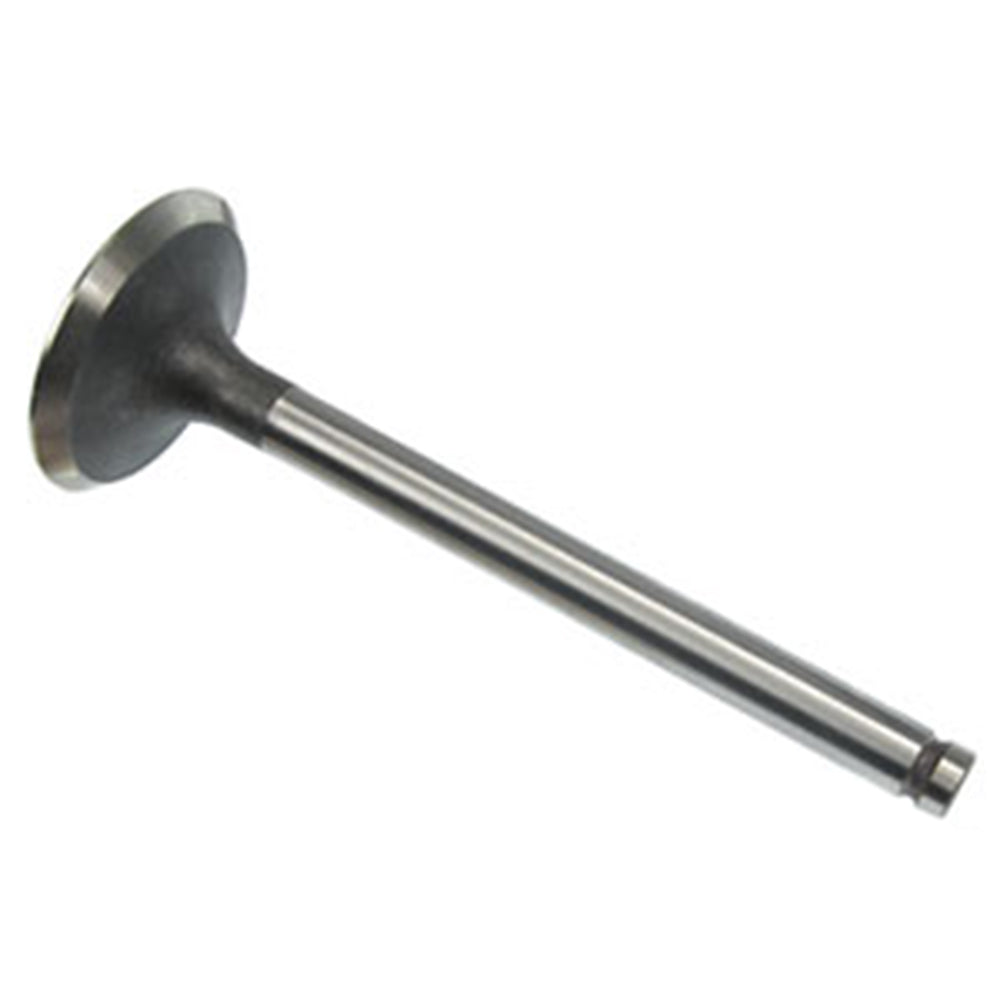 02100022 Intake Valve Fits JCB