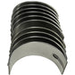 745584M91 1209-1130 Tractor Main Bearing Set Fits Massey Ferguson 298 592 595 69