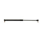 WN-82022486-PEX Rear Window Strut Fits International/CaseIH Maxxum 100