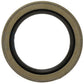 Oil Seal Fits Case/International Harvester Replaces 317549R1
