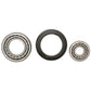 Wheel Bearing Kit Fits Massey Ferguson Models