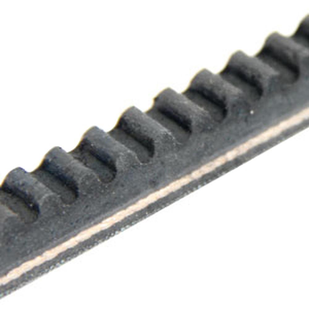 A-280210C2-AI Belt, Compressor Drive