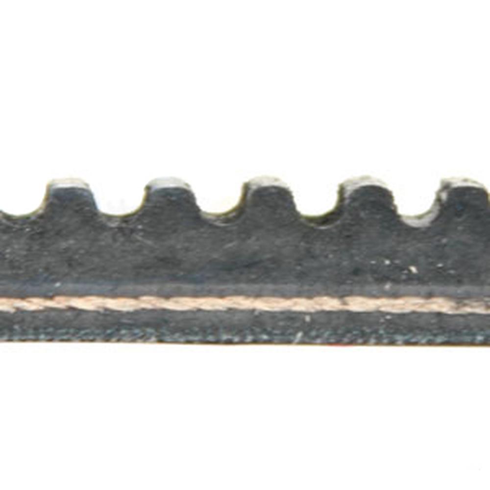 A-280210C2-AI Belt, Compressor Drive
