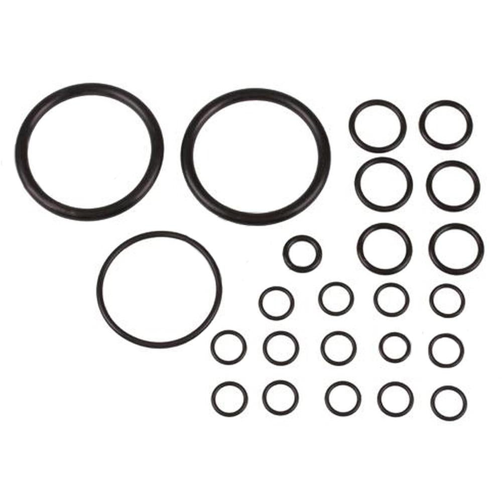 894906M91 Hydraulic Lift Pump Seal Kit Fits Landini 5860 9550 LARGE 9550