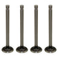 Pack of 4 Four Exhaust Valves 2N 8N 8N6505A Fits Ford/New Holland Tracto