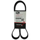 Alternator Belt Fits Dayco Replaces 5050336
