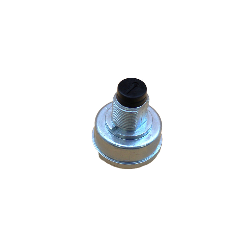 (3) Position Ignition Key Switch Fits Cub Cadet Replaces 725-06854