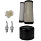 Filter Tune Up Kit w/ Spark Plugs Fits Toro Replaces 103-1326