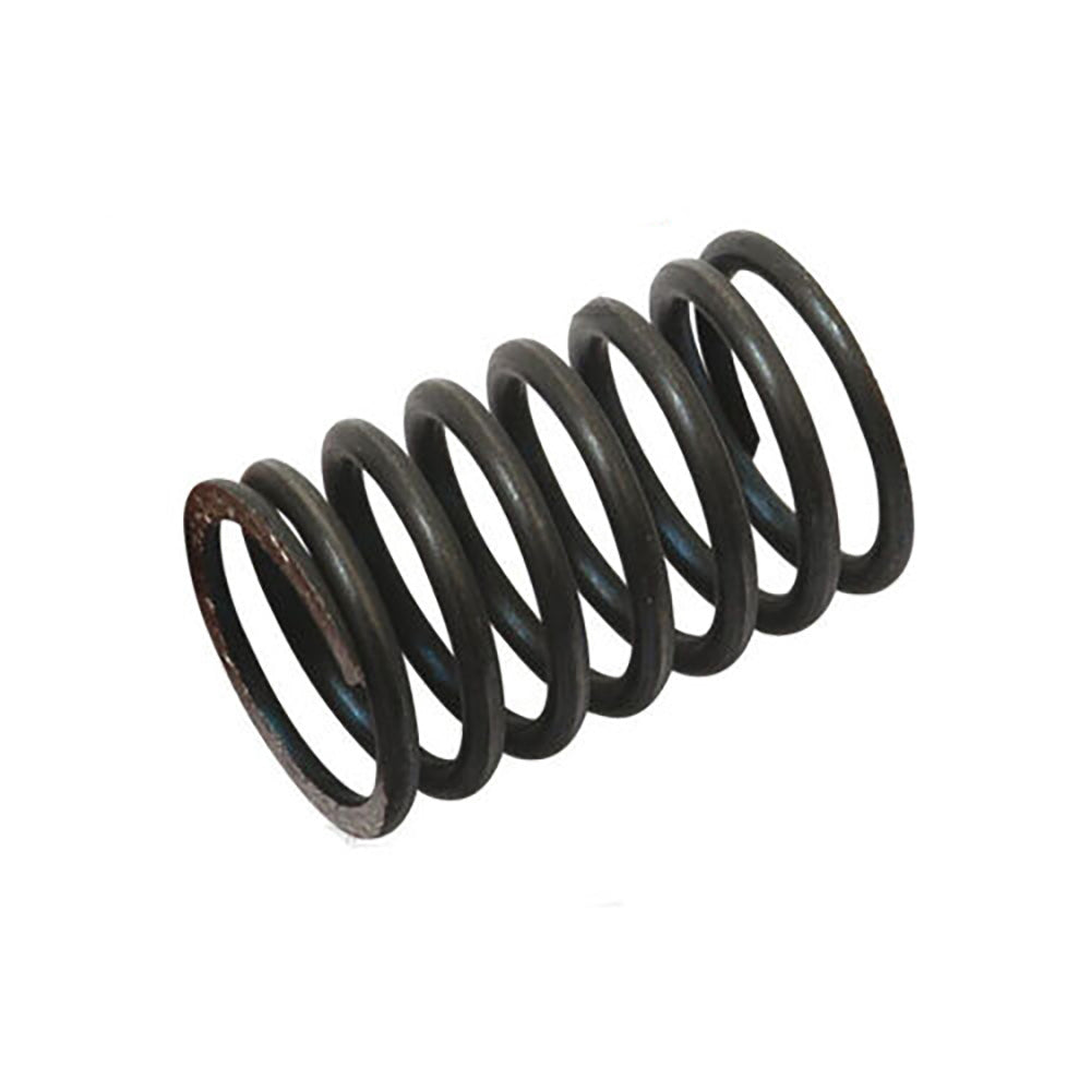 A-31744131-AI Spring, Valve Inner