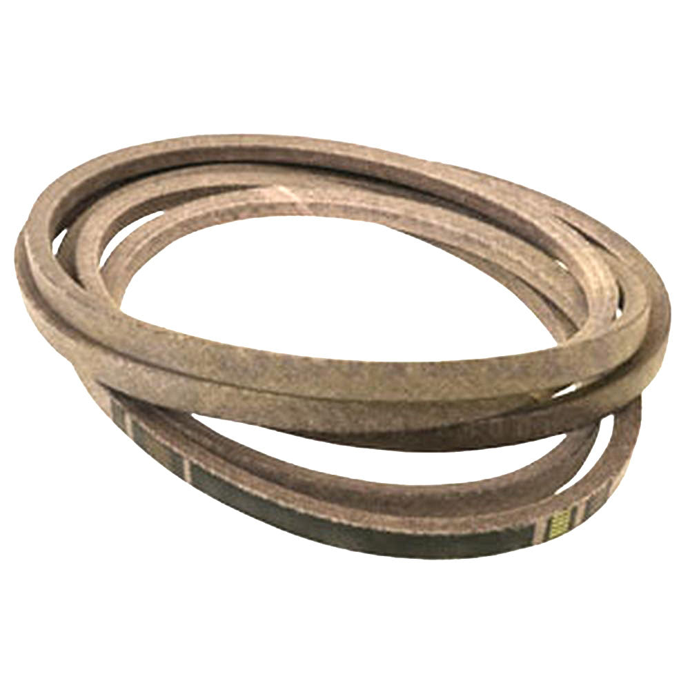 602078 HUSTLER BELT