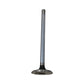 A-R43679 Exhaust Valve (Std) Fits John Deere