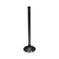 A-R43883-AI Valve, Intake (Std)
