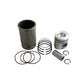 DZ109732 Piston Liner Kit Fits John Deere