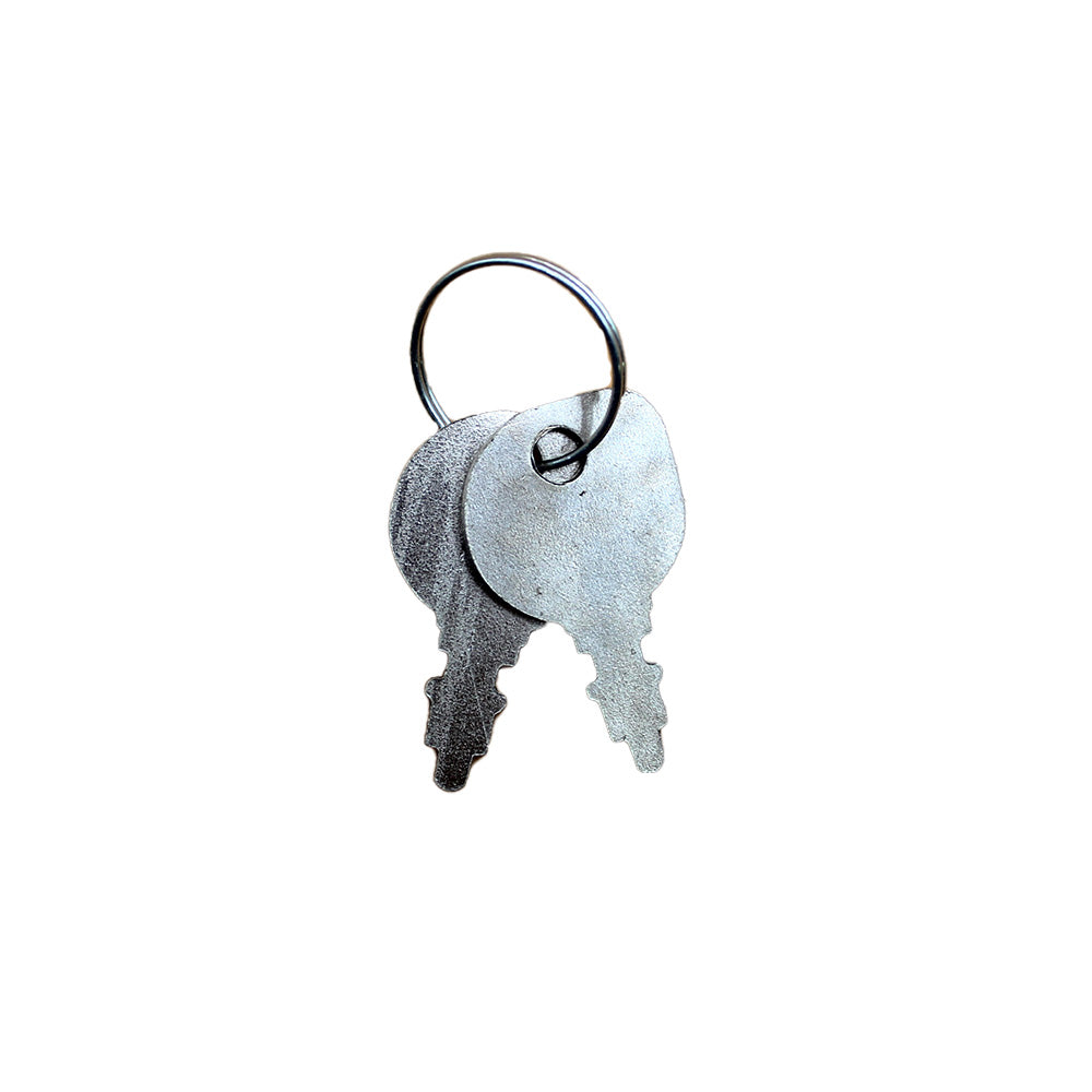 Ignition Switch w/ Keys A24511 Fits Case IH 1030 730 830 930 Dom 930CK