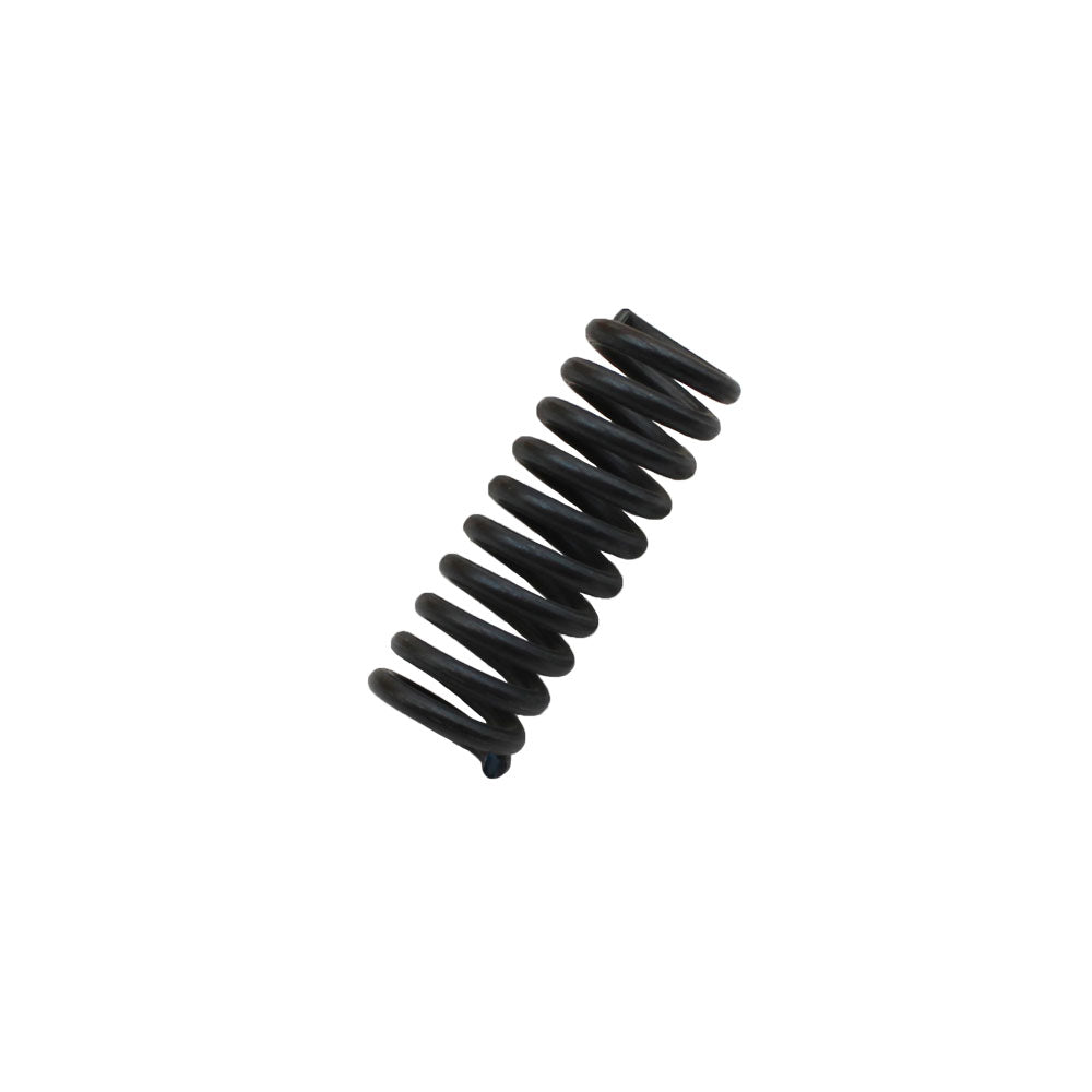 A352R-AIC Clutch Disc Adjusting Spring