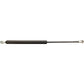 AM252636A1 Gas Strut, Hood