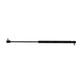 AL160699 Gas Strut, Roof Hatch Fits John Deere Fits John Deere