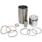 AR100646 - Piston Liner Kit