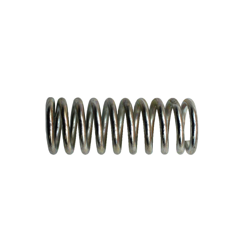 B161R-AIC Clutch Disc Adusting Spring