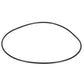2385261 O-Ring Fits Case/International Harvester