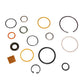 C5NN3N713A Cylinder Seal Kit Fits Ford/New Holland 4200 550 5500 555 5550 555A