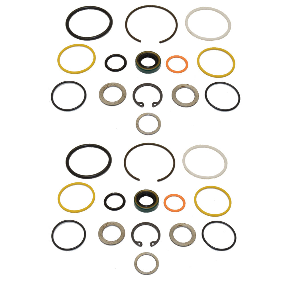 C5NN3N713A Qty 2: Cylinder Seal Kit Fits Ford/New Holland 4000 4200 550 5500 555