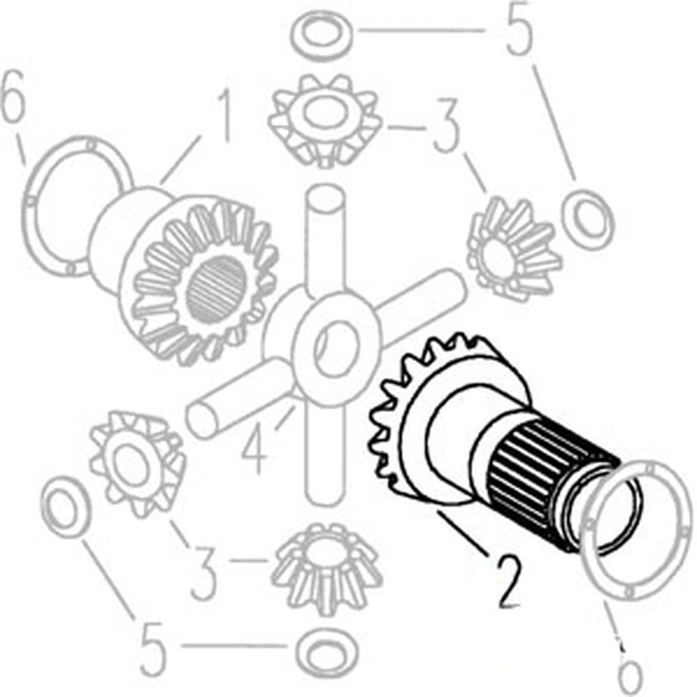 C5NN4239A - Differential Side Gear