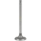 Intake Valve Fits Ford/New Holland Replaces 1842751