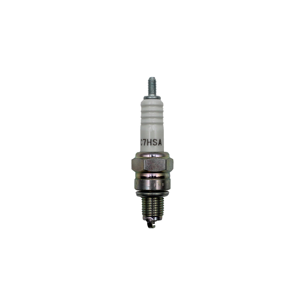 130-790 Spark Plug Fits Champion