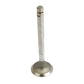 Exhaust Valve Std - Fits Ford - D3NN6505A