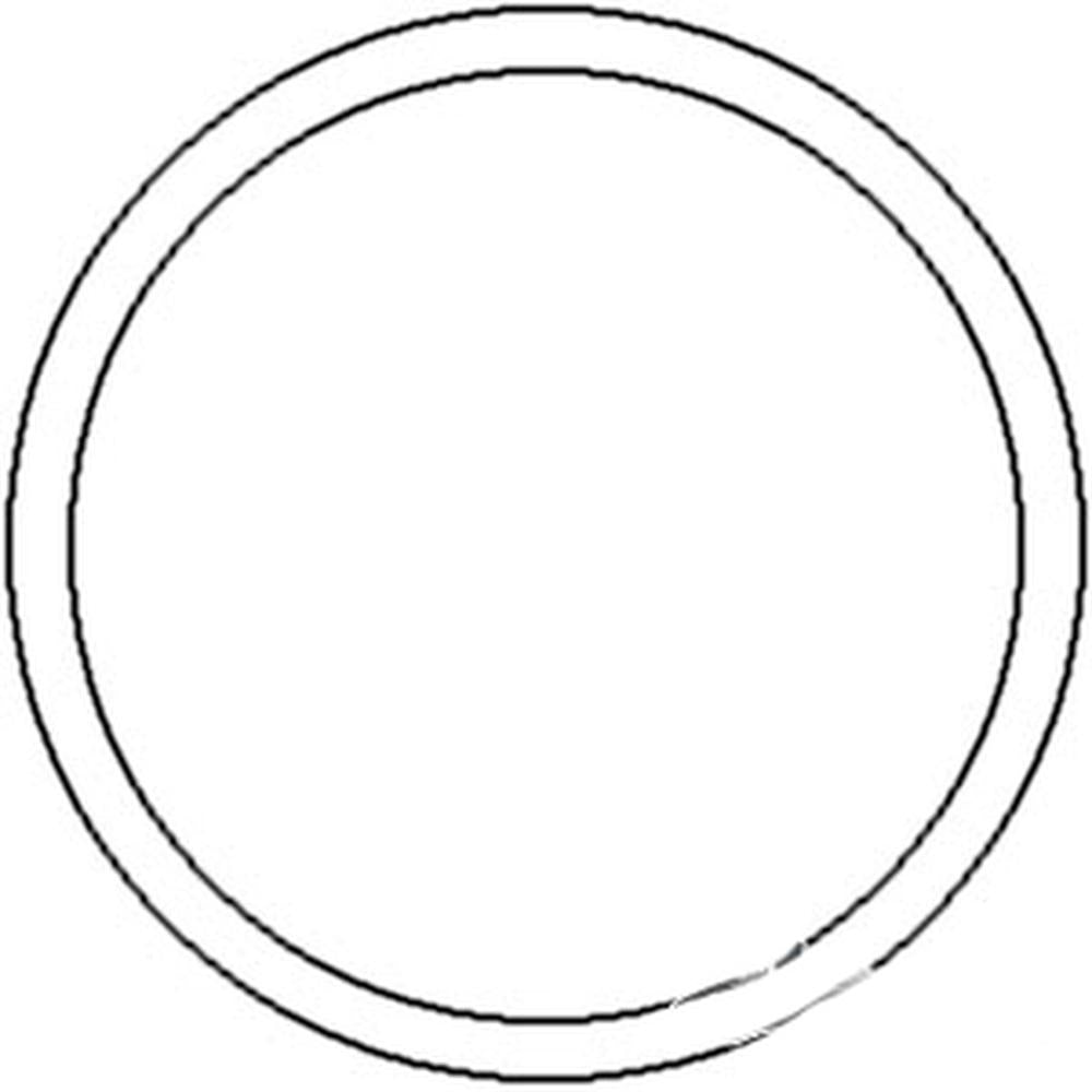 170923936 O-Ring Fits Landini