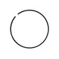 1754395M1 Input Shaft Ring Fits Ford/New Holland