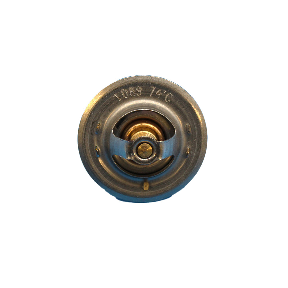 1853313M91 168 Degree Thermostat Fits Massey Ferguson