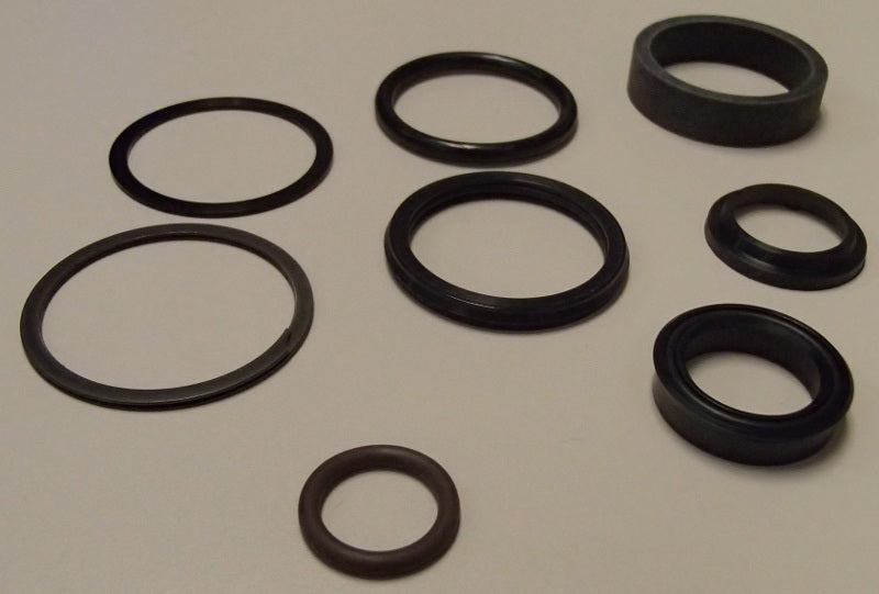 D148100 Qty 2: Cylinder Seal Kit Fits Case/International Harvester