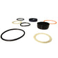 D42869-AIC Cylinder Seal Kit