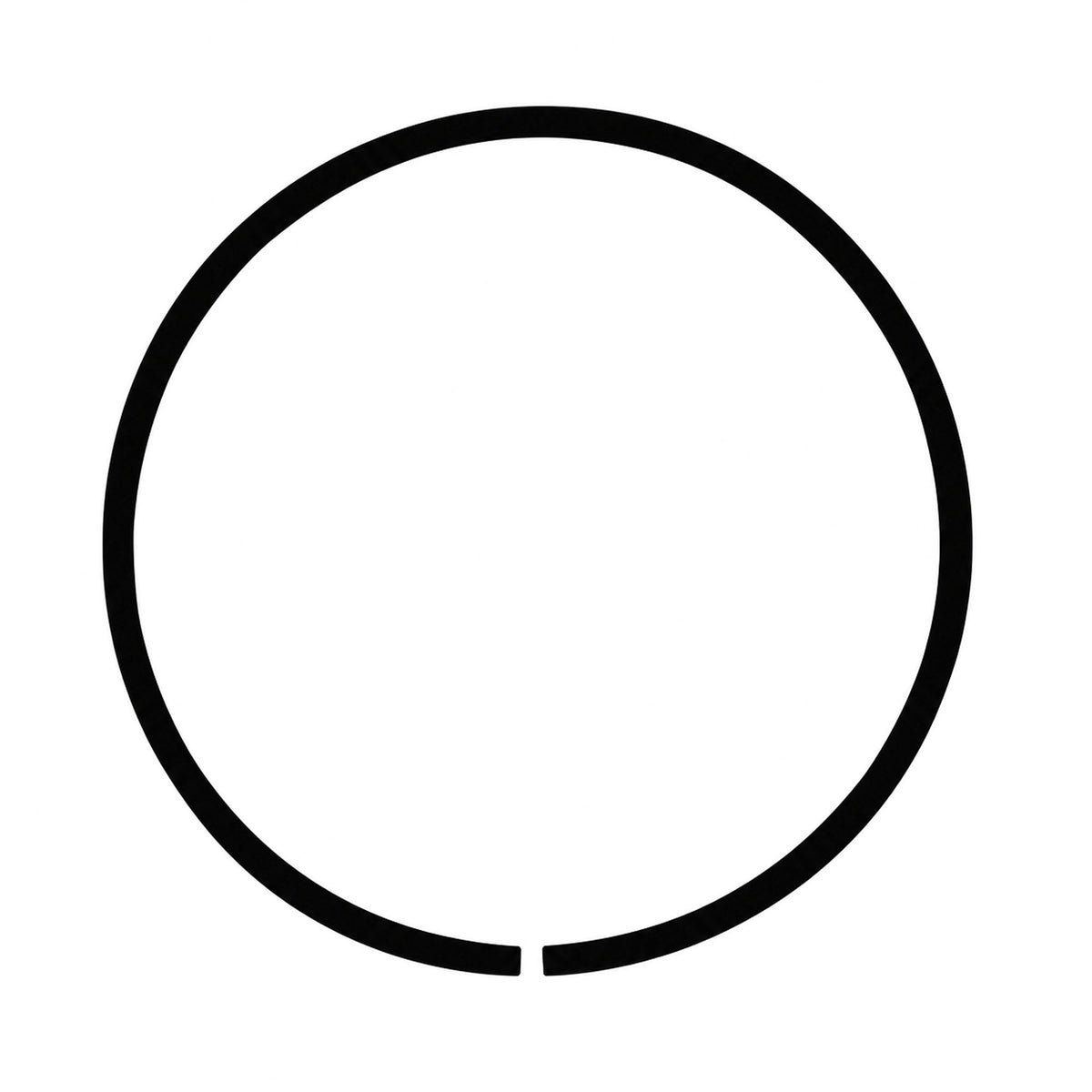 D50078 - Snap Ring