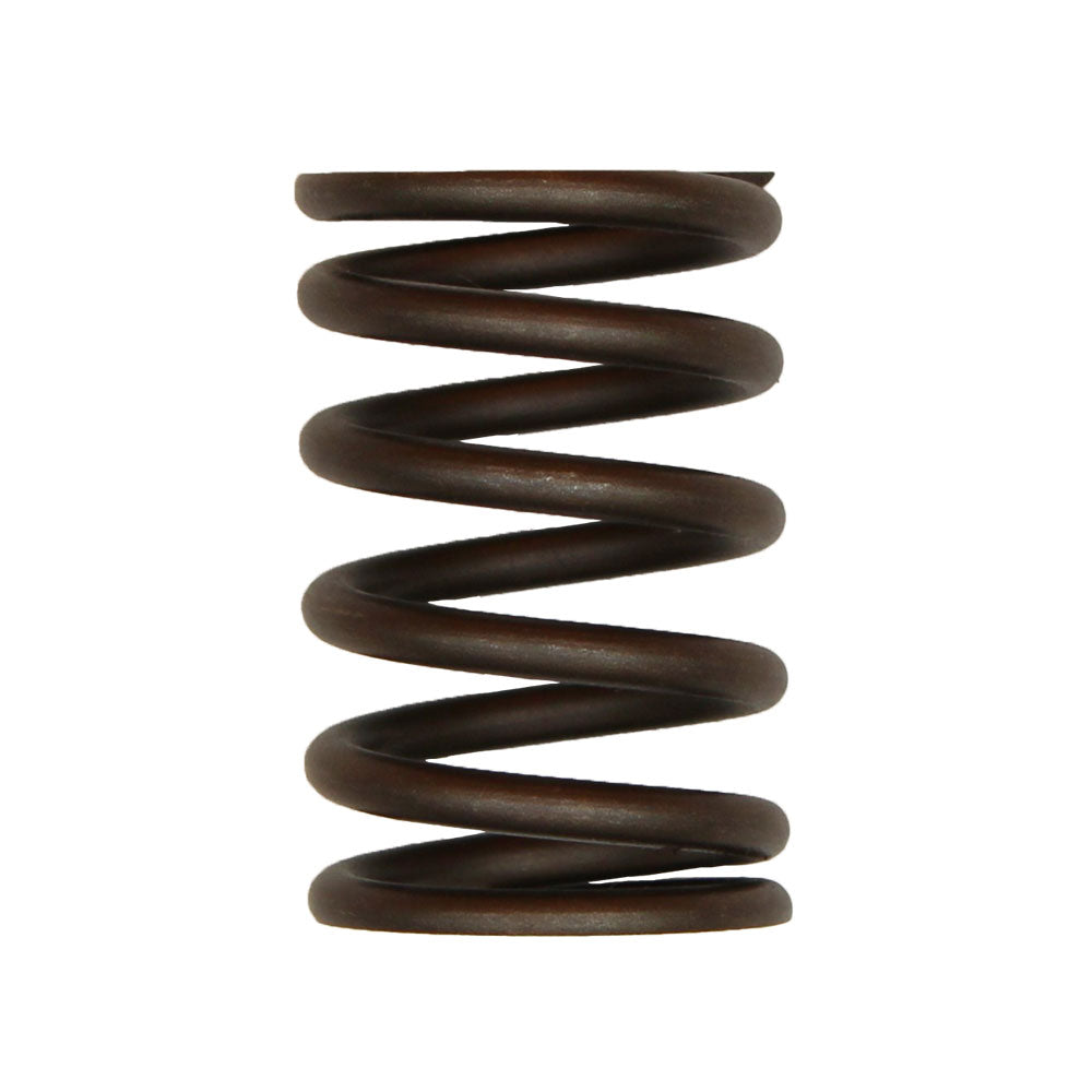 3911693 Valve Spring Fits Ford