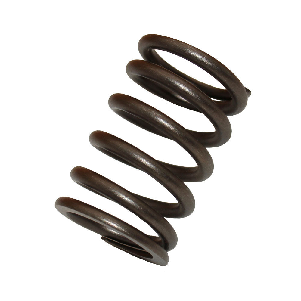 3911693 Valve Spring Fits Ford