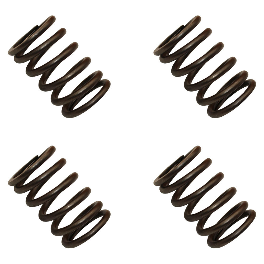 3911693 Qty. 4: Valve Spring Fits Ford