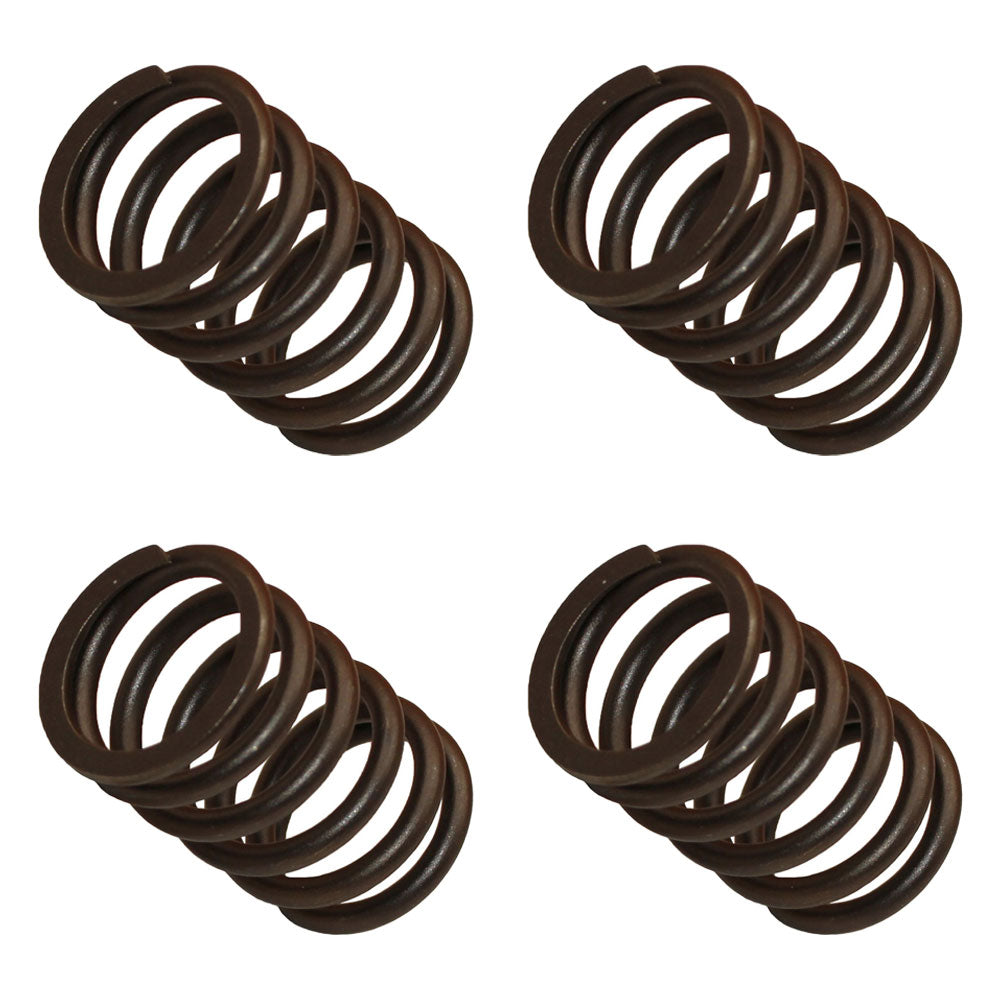 3911693 Qty. 4: Valve Spring Fits Ford