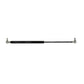3477369M1 Door Strut, Gas Fits Ford New Holland