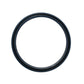 Rear Crankshaft Seal Fits Case Replaces 83955247