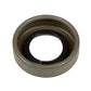 149345R91 Governor Shaft Seal Fits International