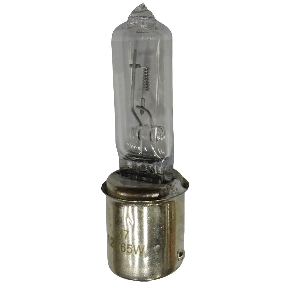 ELJ50-0346-AIC Flood Bulb
