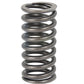 ENE10-0046-AIC Valve Spring