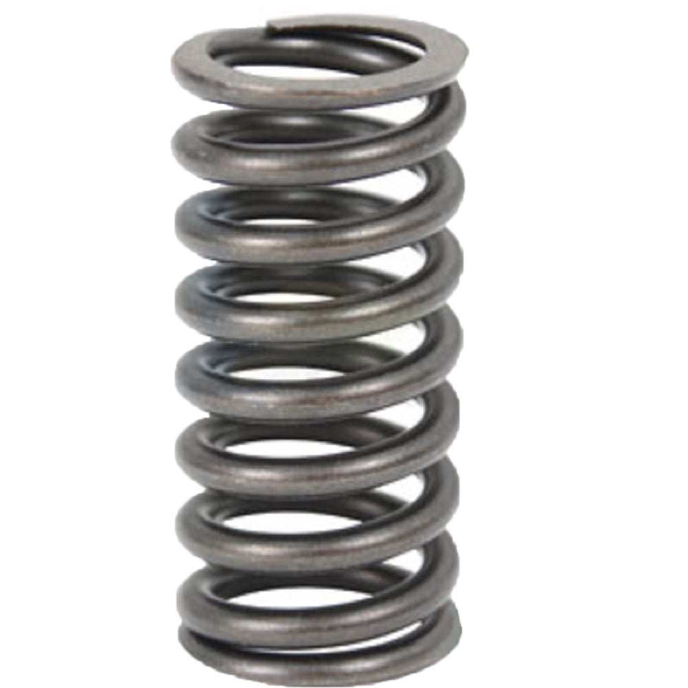 ENE10-0046-AIC Valve Spring